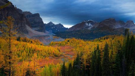 Autumn Majesty in Mountain Landscape wallpaper