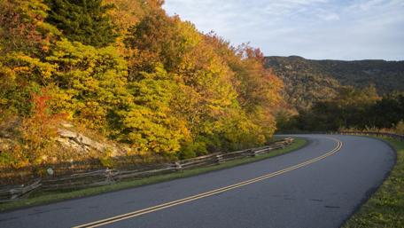 Winding Road Through Autumn Colors wallpaper
