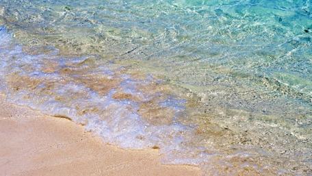 Serene Shoreline Beneath Clear Waters wallpaper
