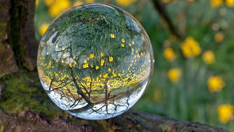 Crystal Ball Reflecting Nature's Beauty wallpaper