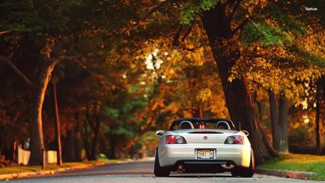 Serene Autumn Driveway Scene wallpaper