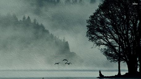 Misty Wilderness Walk wallpaper