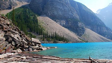 Stunning Moraine Lake Tranquility in Alberta's Rockies wallpaper