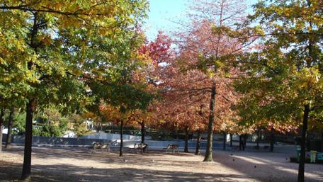 Autumn Serenity in Nature's Embrace wallpaper