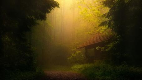 Twilight Embrace at a Secluded Forest Cabin wallpaper