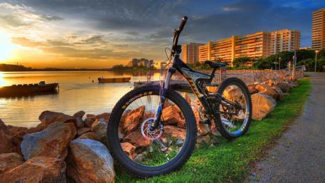 Biking by the Sunset at the Lakeside wallpaper