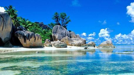 Serene Tropical Oasis by Crystal Waters wallpaper