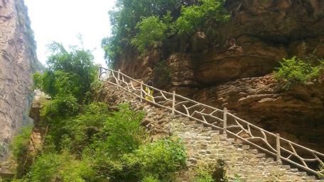 Scenic Stairway Through Nature's Embrace wallpaper