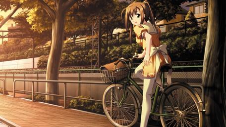 Golden Hour Ride wallpaper