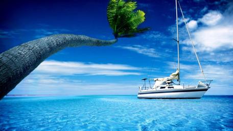 Serene Summer Escape with Boat and Palm Tree wallpaper
