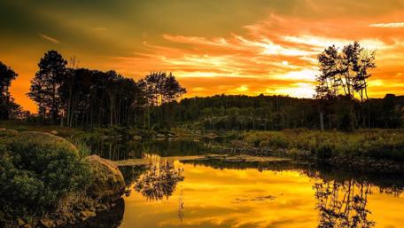 Sunset Serenity Over a Tranquil Lake wallpaper