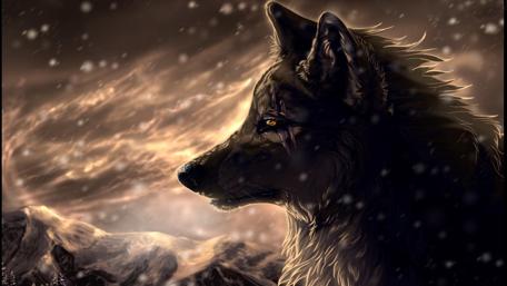 Majestic Wolf in Winter Landscape wallpaper
