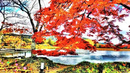 Autumn Serenity in Kyoto's Lake View wallpaper