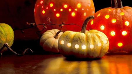 Festive Pumpkins Illuminate Halloween Celebrations wallpaper