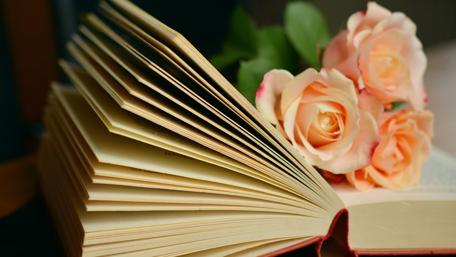Blooming Knowledge in Literature wallpaper