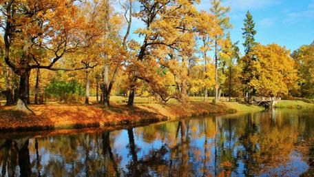 Autumn Serenity by the River wallpaper