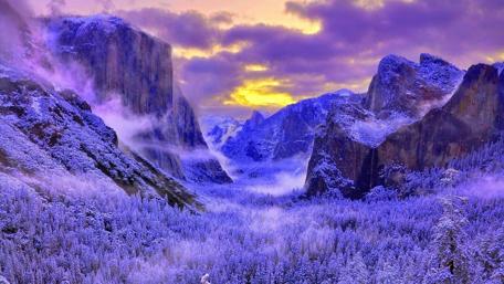 Winter Wonderland at Twilight wallpaper