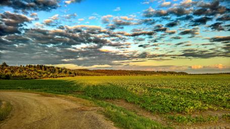 Vast Green Fields Under a Dramatic Sky wallpaper