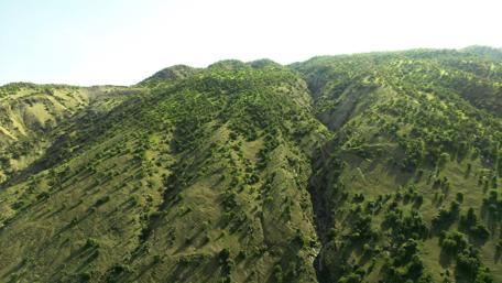 Majestic Green Hills Embraced by Sunshine wallpaper