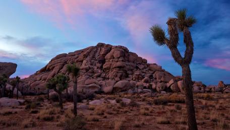 Stunning Desert Landscape at Dusk wallpaper