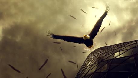 Majestic Eagle in Urban Landscape wallpaper