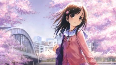 Blossoming Spring and Youthful Dreams wallpaper
