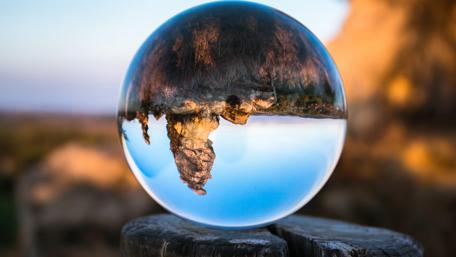 Nature's Reflection in a Glass Sphere wallpaper