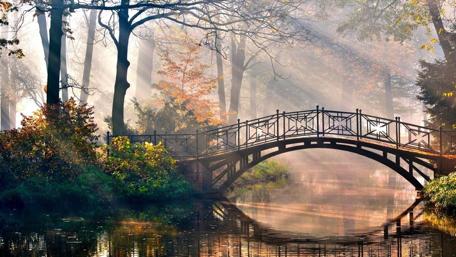 Bridge of Light in a Fairy Tale Forest wallpaper