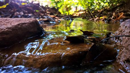 Serene Stream in Vikarabad Forest Landscape Scene wallpaper