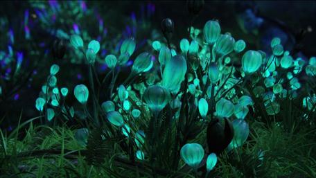 Enchanted Forest at Dusk wallpaper