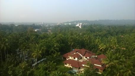 Serene Landscape of Lush Greenery and Modern Homes wallpaper