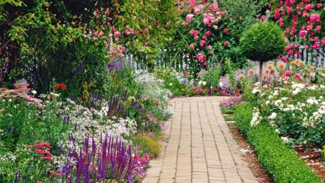 Colorful Blossoms in a Serene Garden Pathway wallpaper