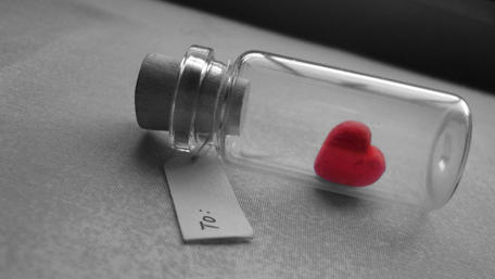 Preserved Love in Monochrome wallpaper