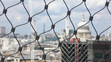 London's Iconic St. Paul's Cathedral Behind a Mesh Fence wallpaper