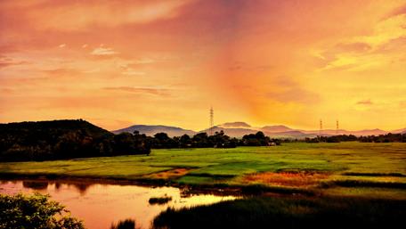 Golden Horizon Over Serene Landscape Scene wallpaper