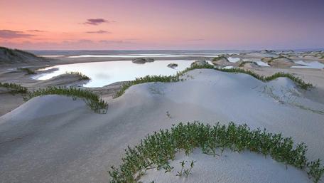 Serene Sand Dunes by a Tranquil Lake wallpaper
