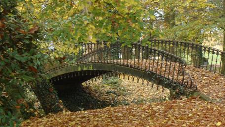 Autumn Bridge Surrounded by Nature wallpaper