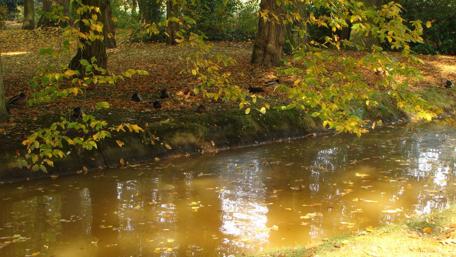 Autumn Reflections in Nature's Calm Waters wallpaper