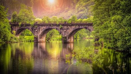 Sunlit Forest Bridge Serenity wallpaper