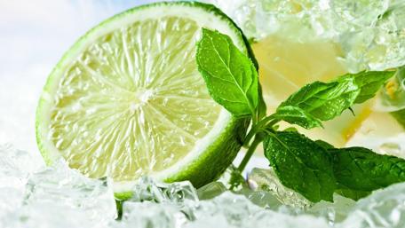 Refreshing Citrus Harmony in Ice wallpaper