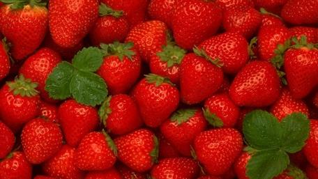 Juicy Red Strawberries Delight the Senses wallpaper