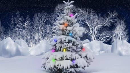 Winter Wonderland Christmas Tree Decorated with Lights in Snowy Landscape wallpaper