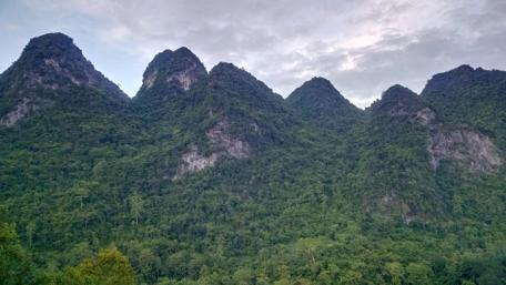 Majestic Mountains Surrounded by Lush Forests wallpaper