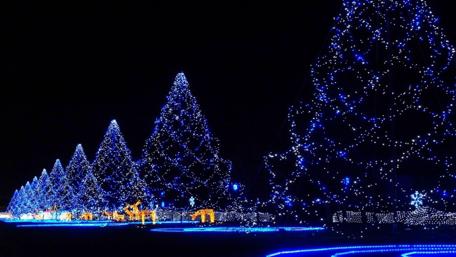 Enchanted Blue Christmas Light Display wallpaper