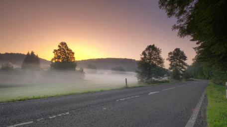 Serene Morning Drive Through Misty Forest wallpaper