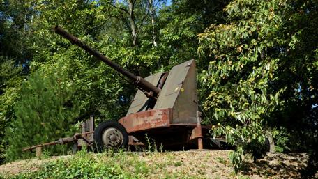 Rusty Artillery Piece Hidden in Nature wallpaper