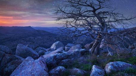 Twilight View of a Desolate Landscape with a Lonely Tree wallpaper
