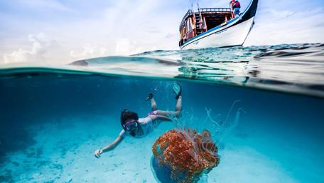 A Swim in Nature’s Wonders wallpaper