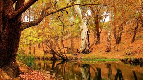 Autumn Serenity by the Waterway wallpaper