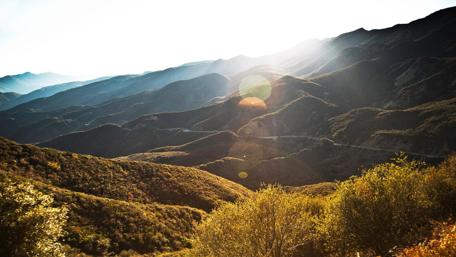 Majestic Mountain Light Amidst the Forest wallpaper